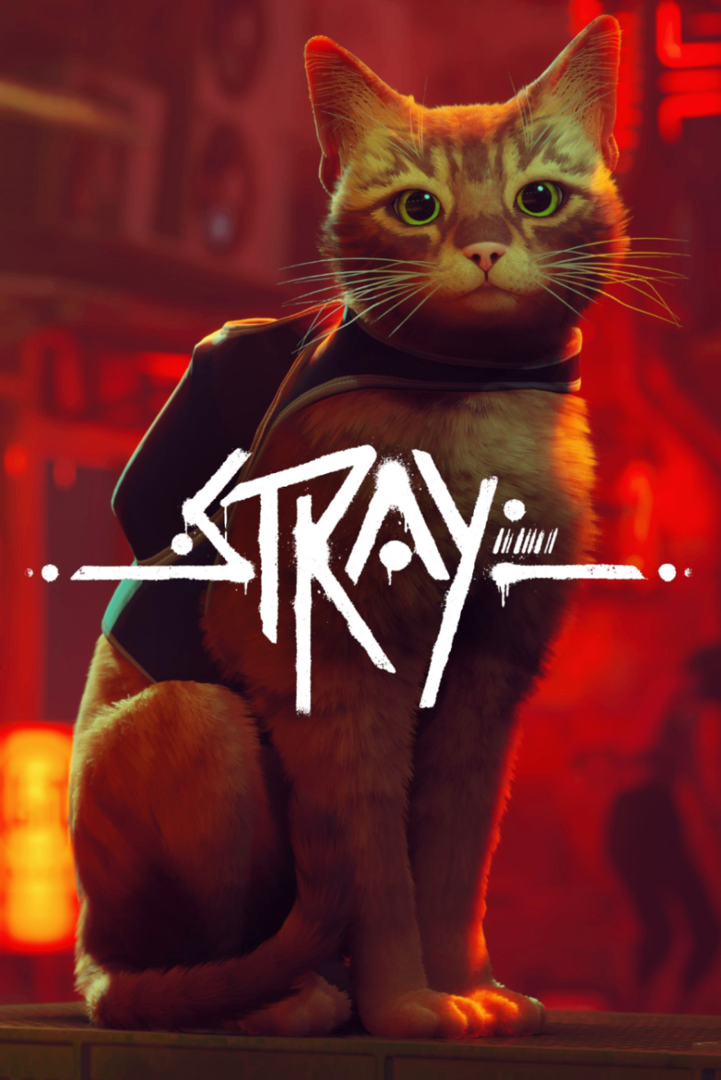 👤 Stray (Conta Offline)